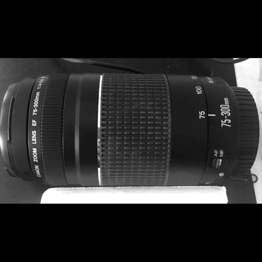 Telephoto Zoom Lens - Canon SLR